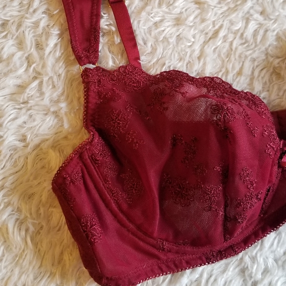 BLUSH- Burgundy bra| 34 C - Picture 9 of 13